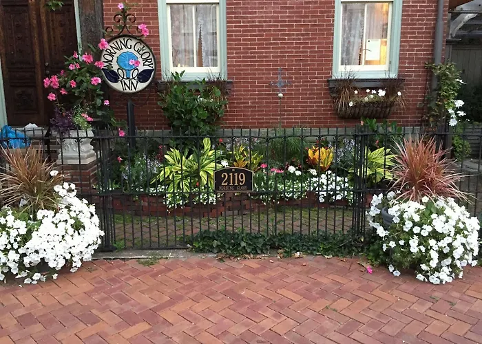 Inn Morning Glory